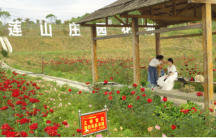 郴州莲山庄园,郴州生态山庄,郴州原生态休闲农业庄园,郴州乡村旅游